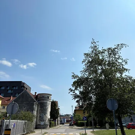 Apartment Trendy Candy